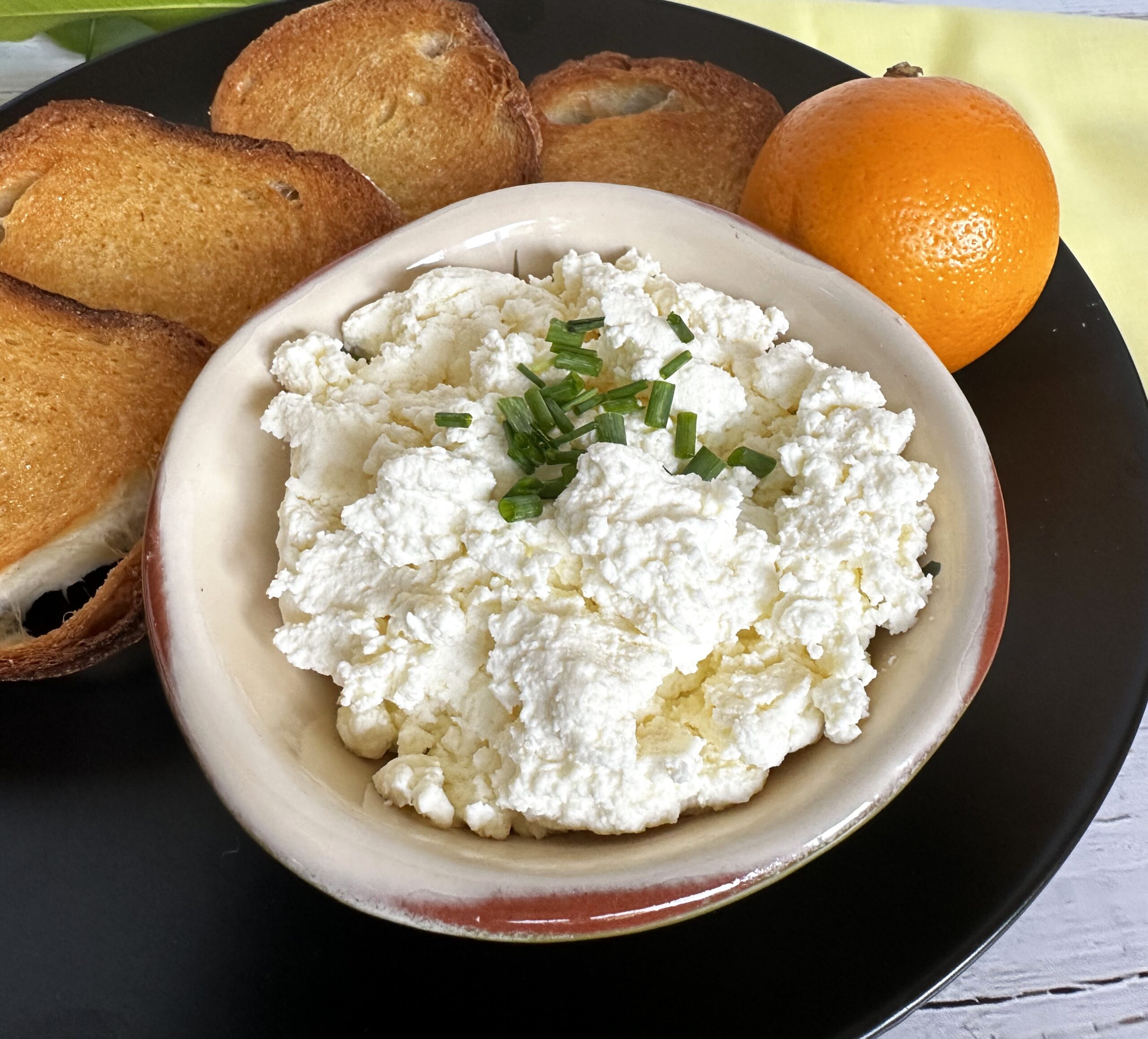 Homemade Ricotta Cheese