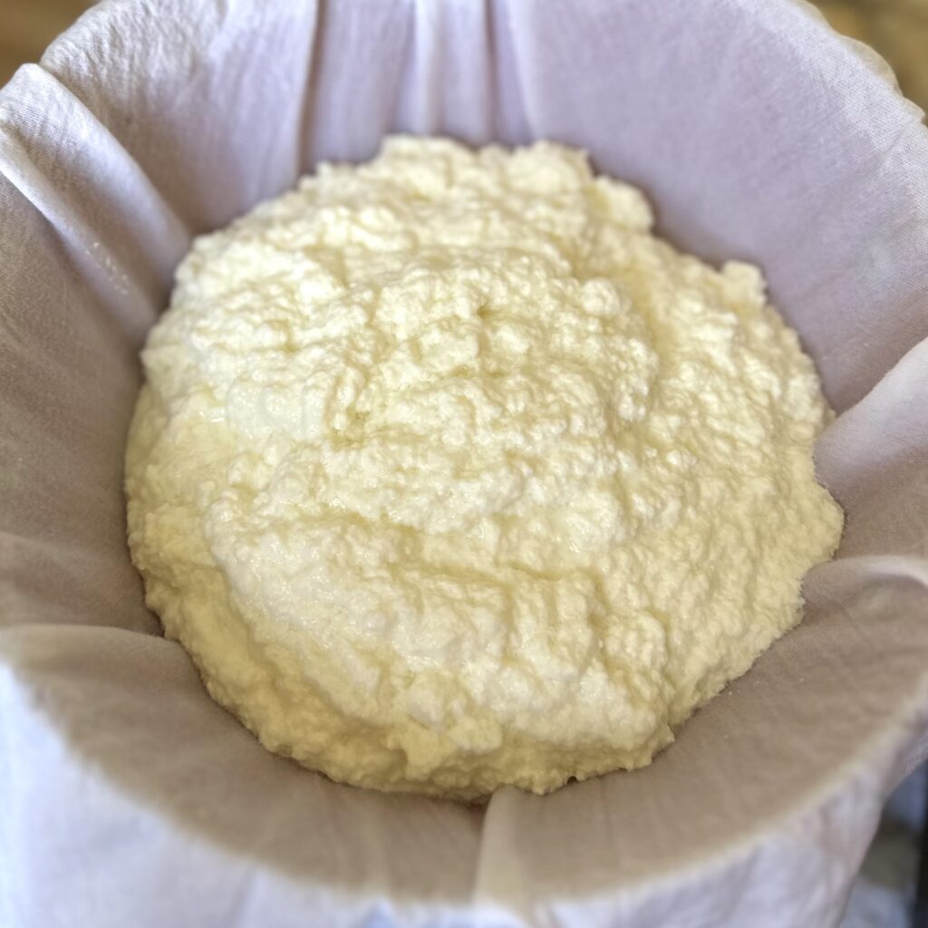 Draining finished ricotta cheese