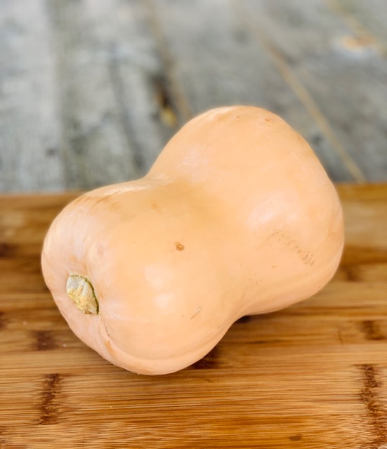 Butternut Squash