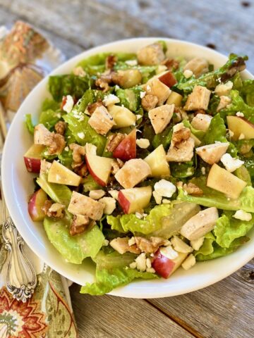 chicken and apple salad with nuts in white bowl