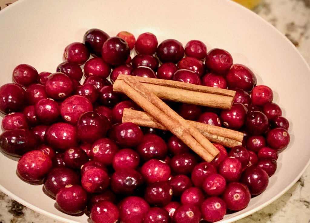 cranberries and cinnamon sticks in a white bowl