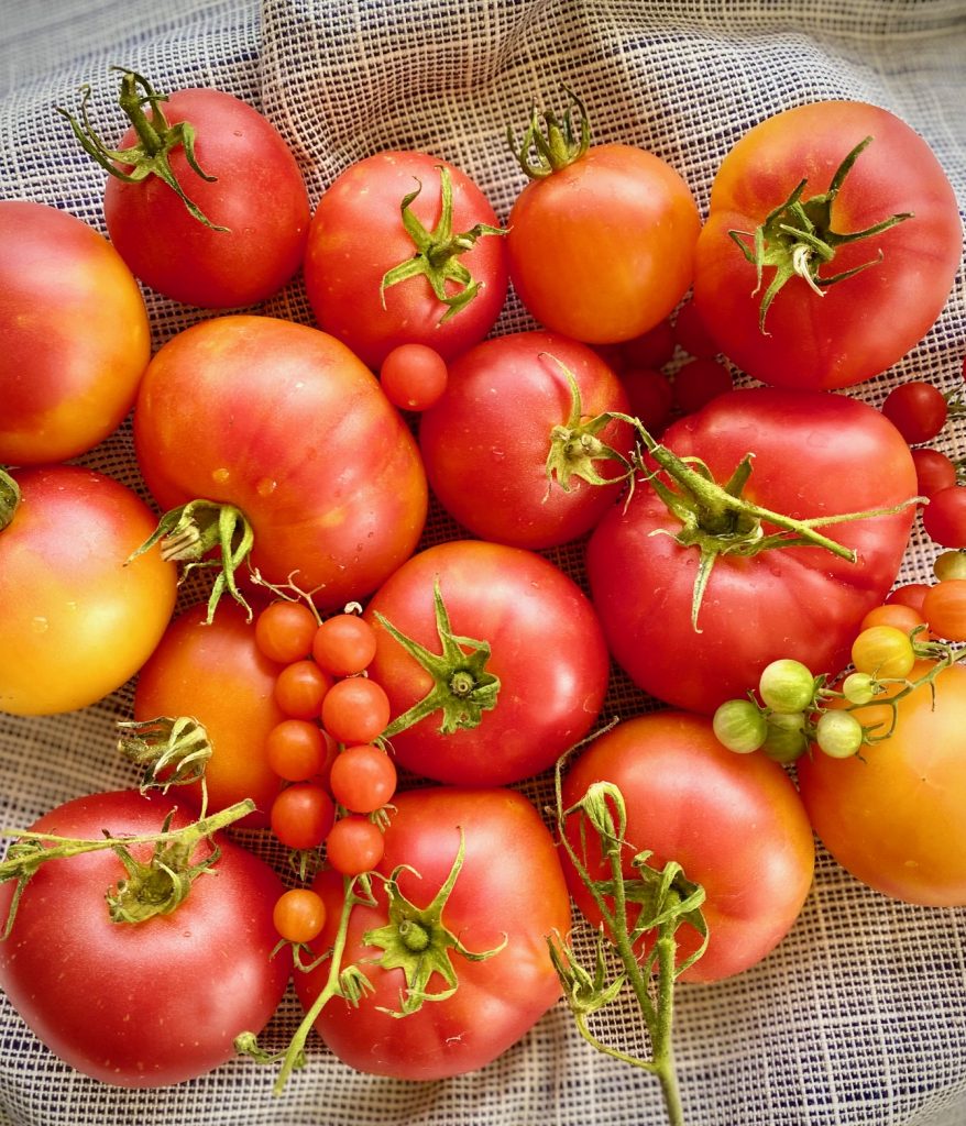 A bunch of Heirloom Tomatoes