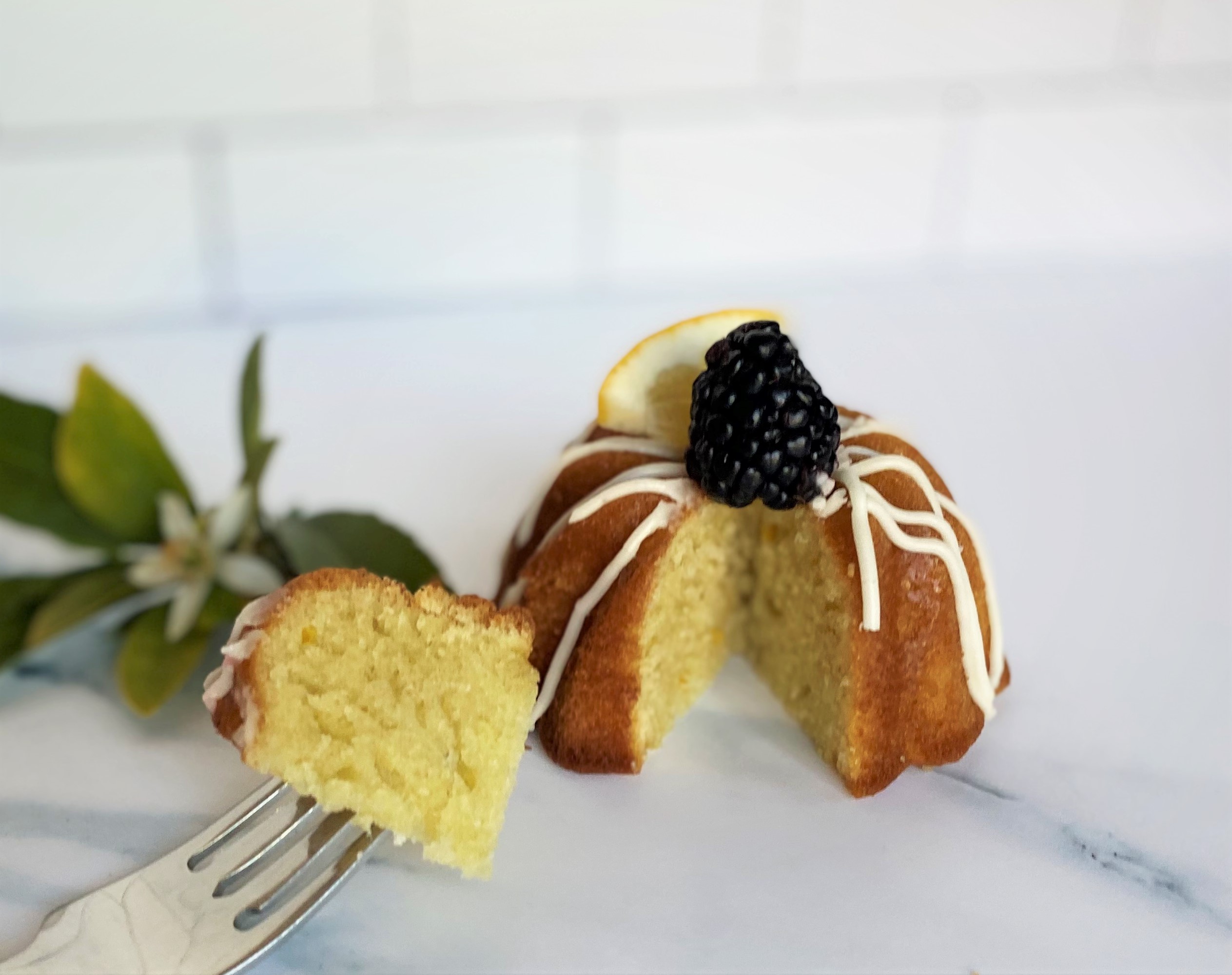 Lemon Olive Oil cake hero