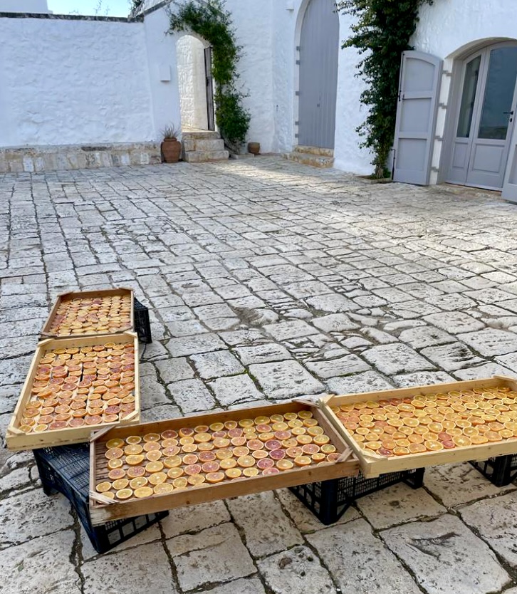 drying citrus on trays