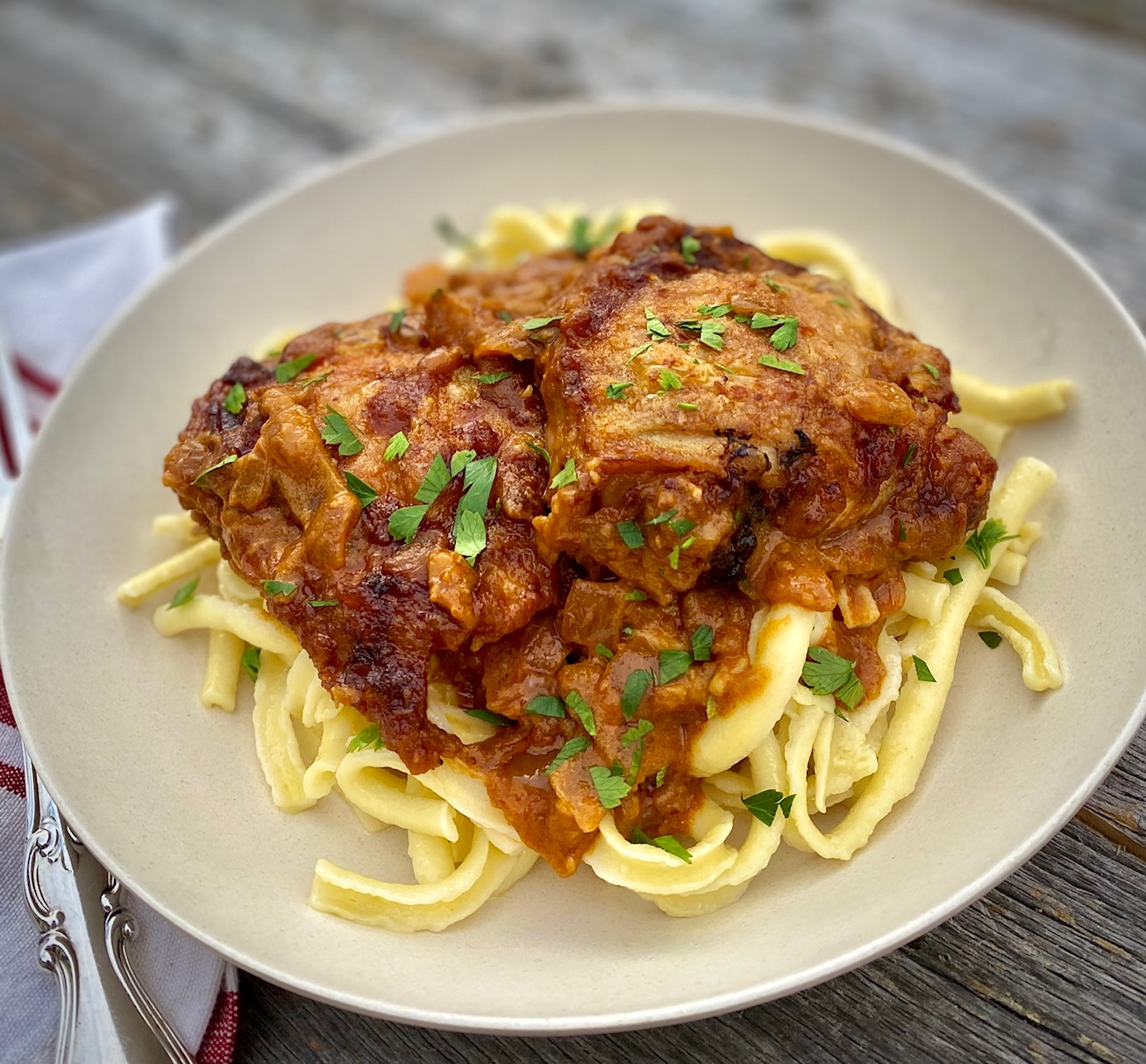 bowl of chicken paprika over noodles
