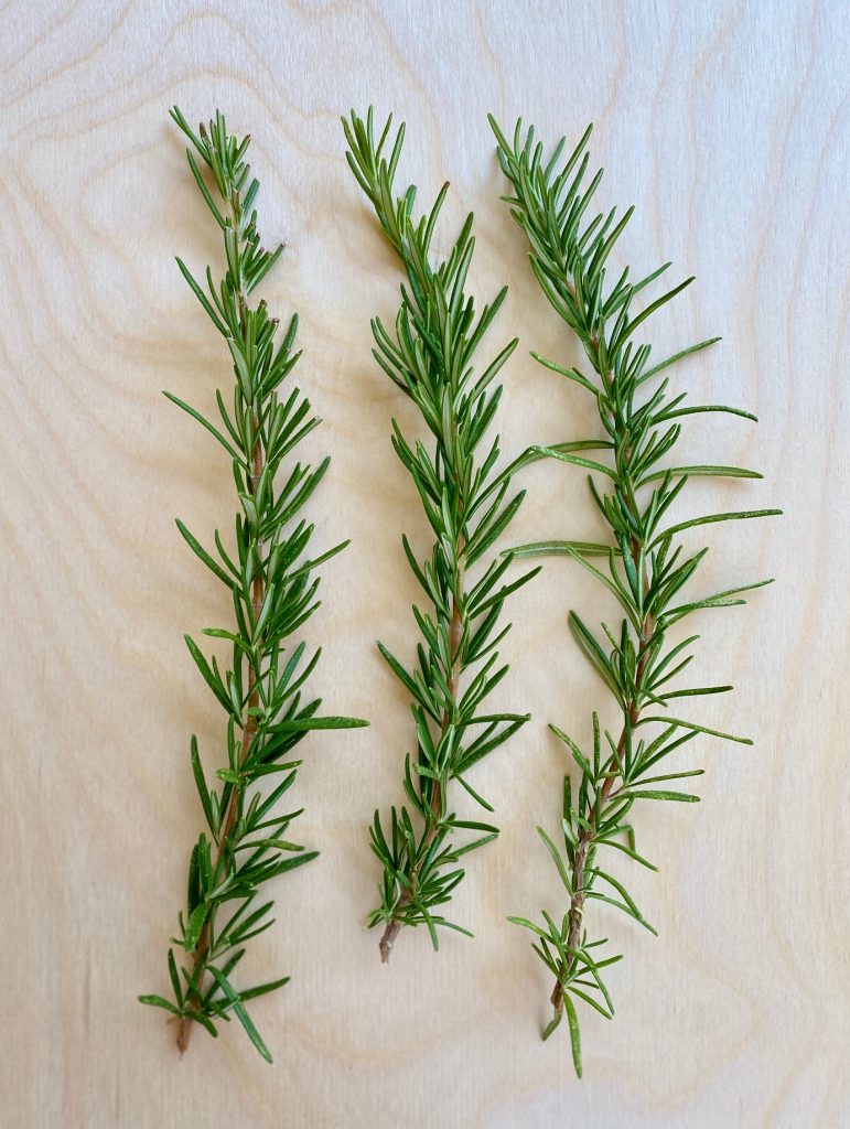 Rosemary sprigs