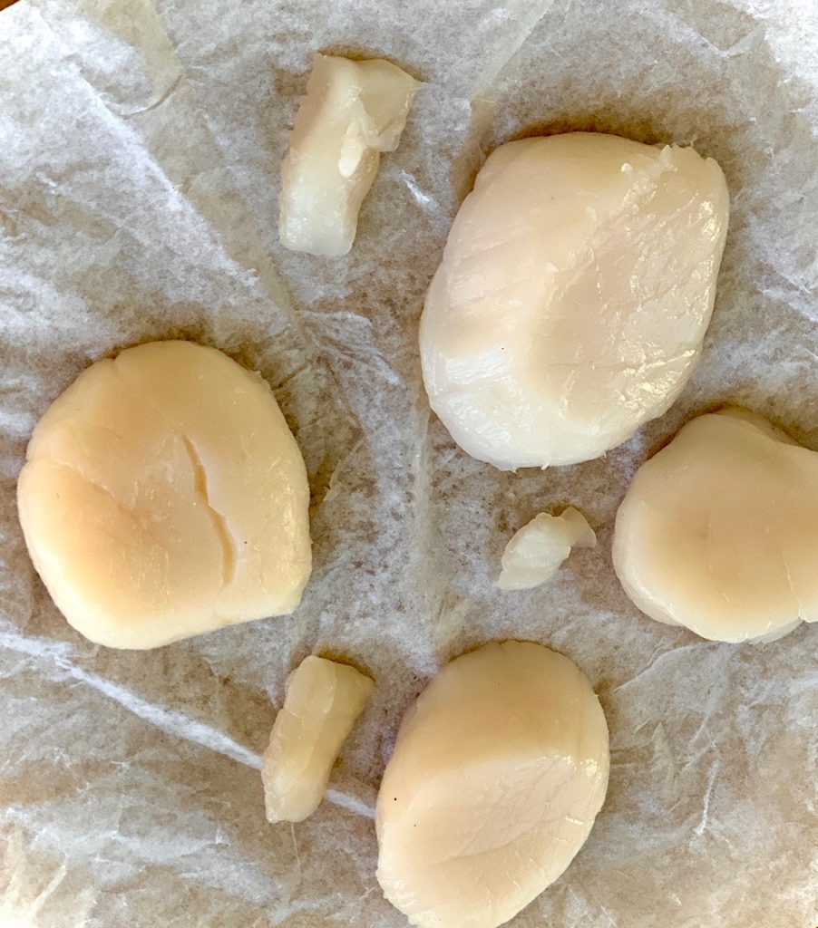 Scallops with their muscles removed