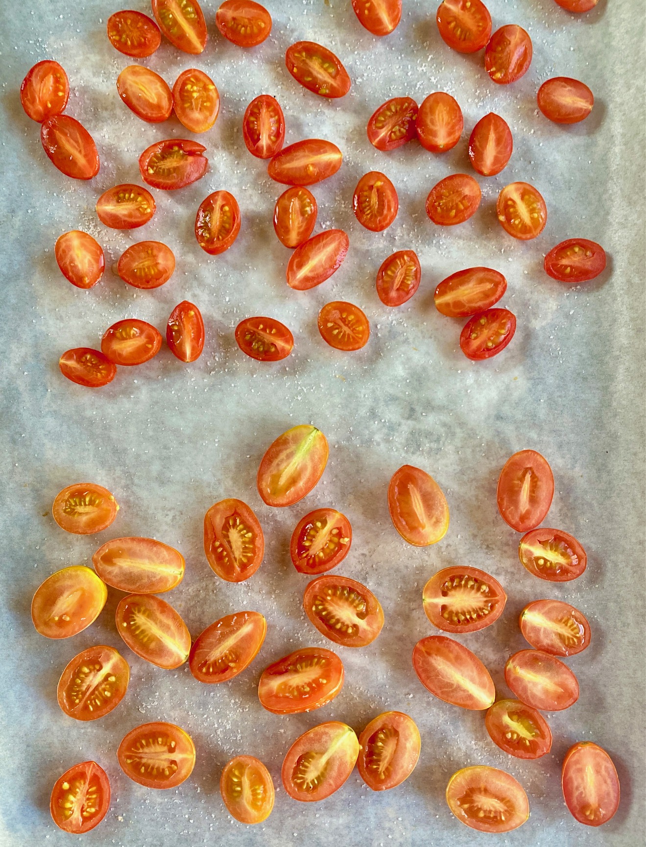 tomatoes uncooked on tray